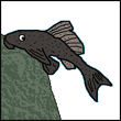 ewisowuj